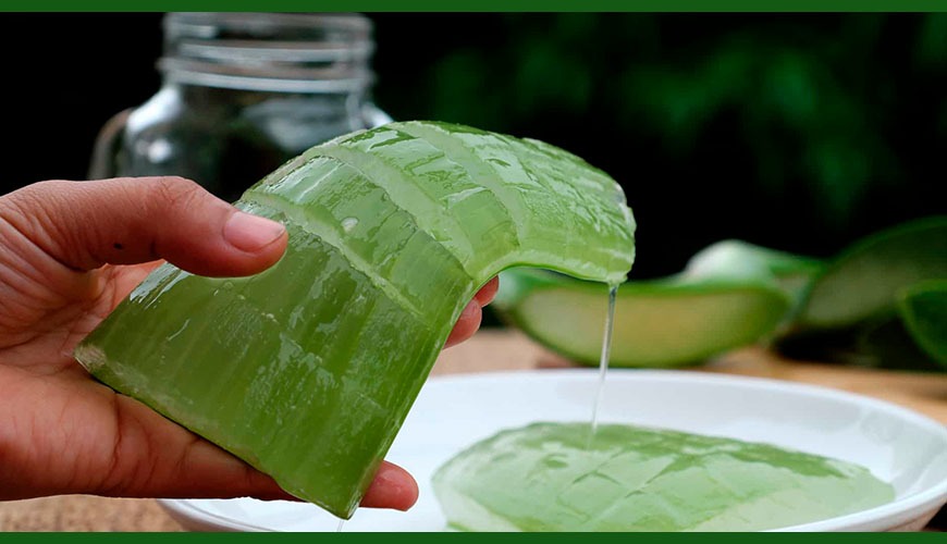 aloe vera para hemorroides